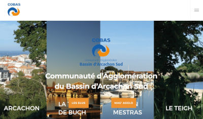 CoBAS